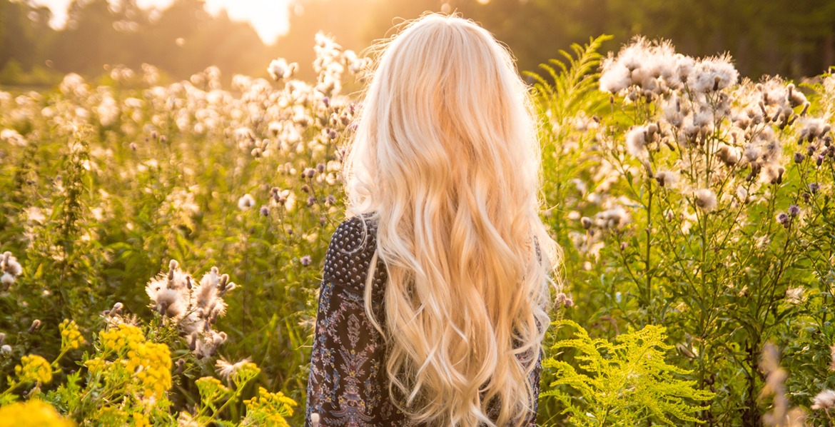 BL_Mesohair